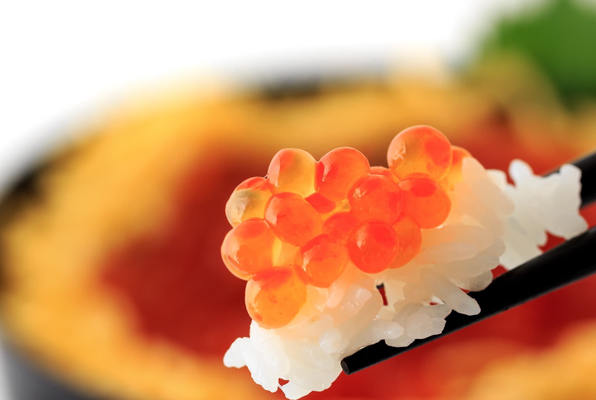 日本の魚食文化 世界に誇れる美味しい食文化