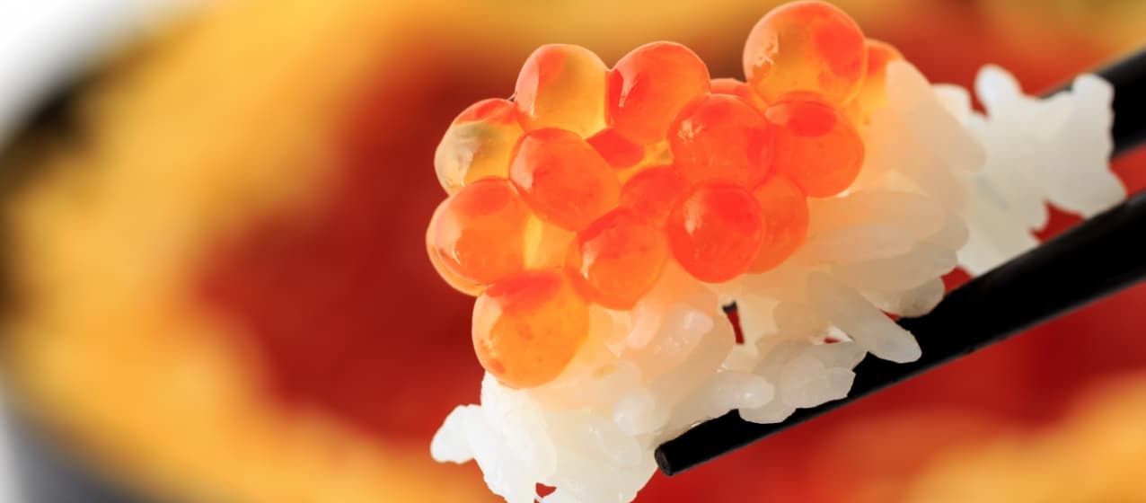 新装版　中国料理百科事典　(送料込み) 日本料理 僖成〉至高五段｜ の通販 | 三越オンラインストア